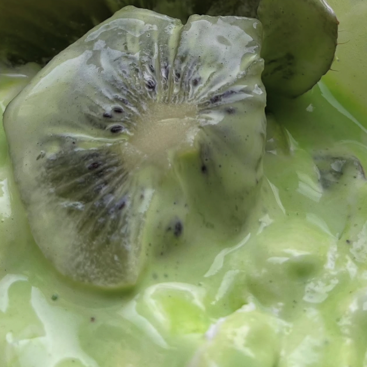 20 Blissful Bites: Brainberry Organics Recipe E-book
